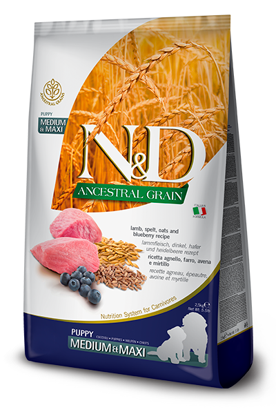 Alimento secco Farmina N&D Ancestral Grain Puppy Agnello e Mirtillo 12 kg per cuccioli di taglia media e grande Alimento secco Farmina N&D Ancestral Grain Puppy Agnello e Mirtillo 12 kg per cuccioli di taglia media e grande